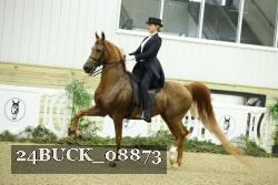 24BUCK_08873 proof