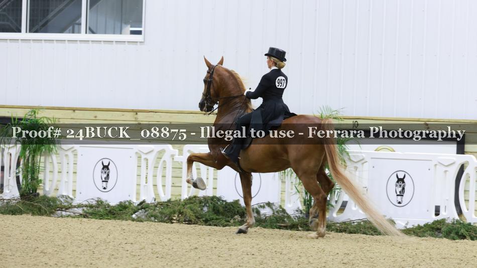 Proof 24BUCK_08875
