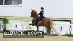 24BUCK_08875 proof