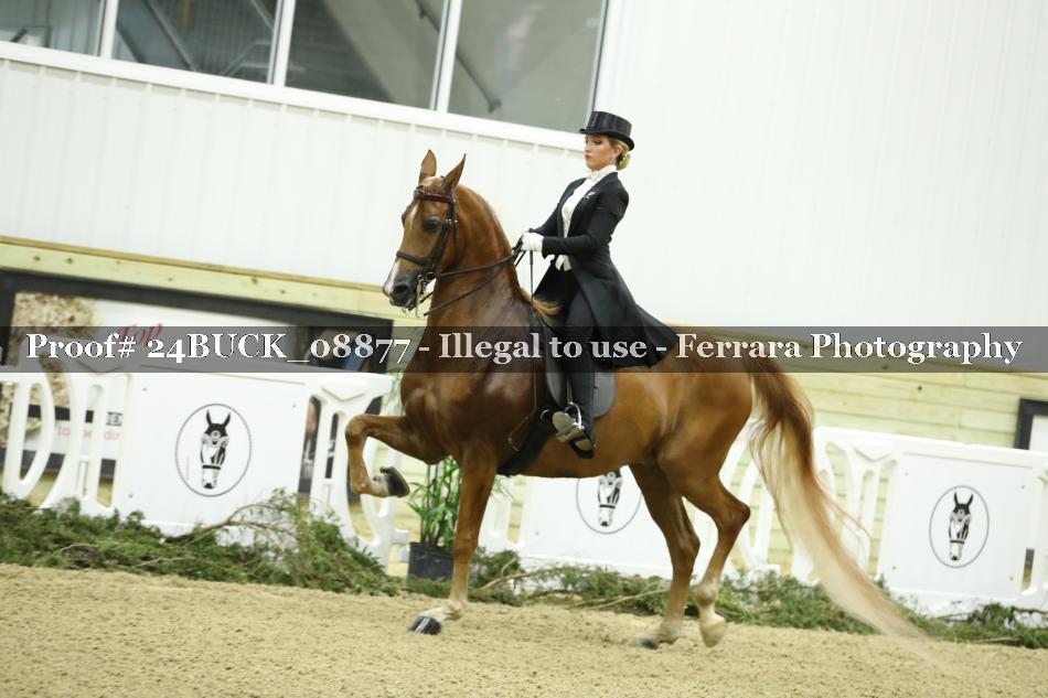 Proof 24BUCK_08877