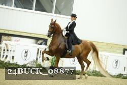 24BUCK_08877 proof