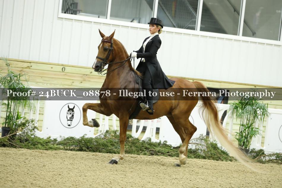 Proof 24BUCK_08878