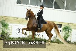 24BUCK_08878 proof