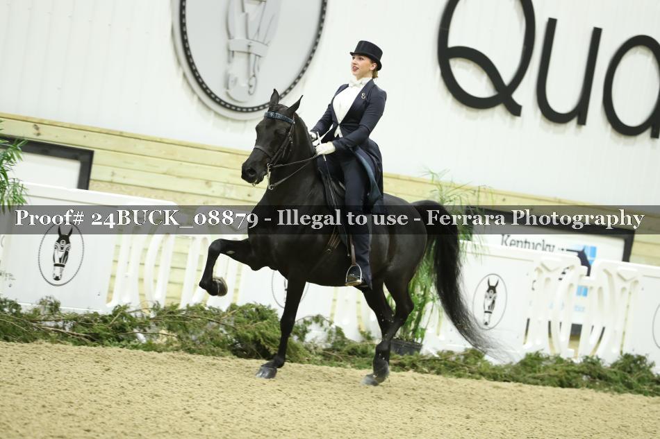 Proof 24BUCK_08879