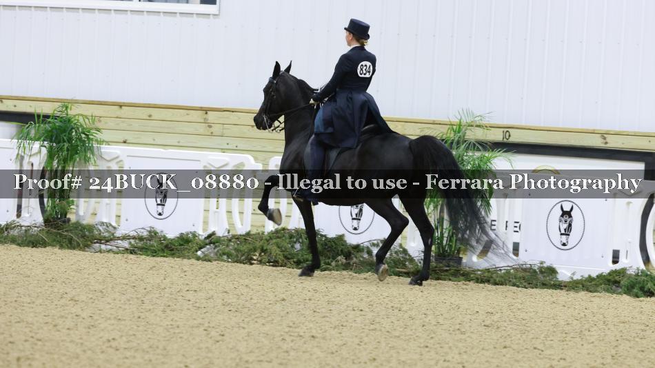 Proof 24BUCK_08880