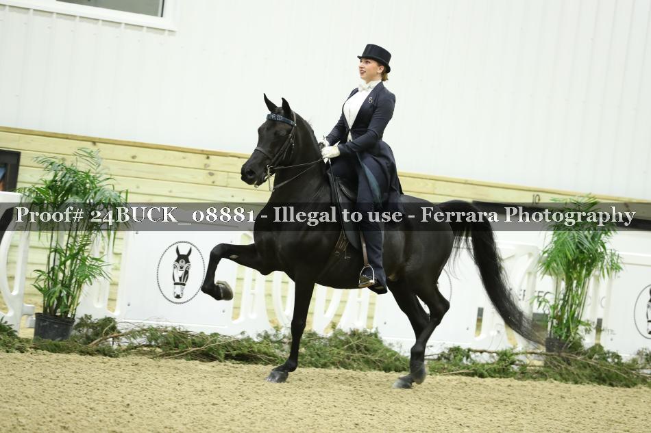 Proof 24BUCK_08881