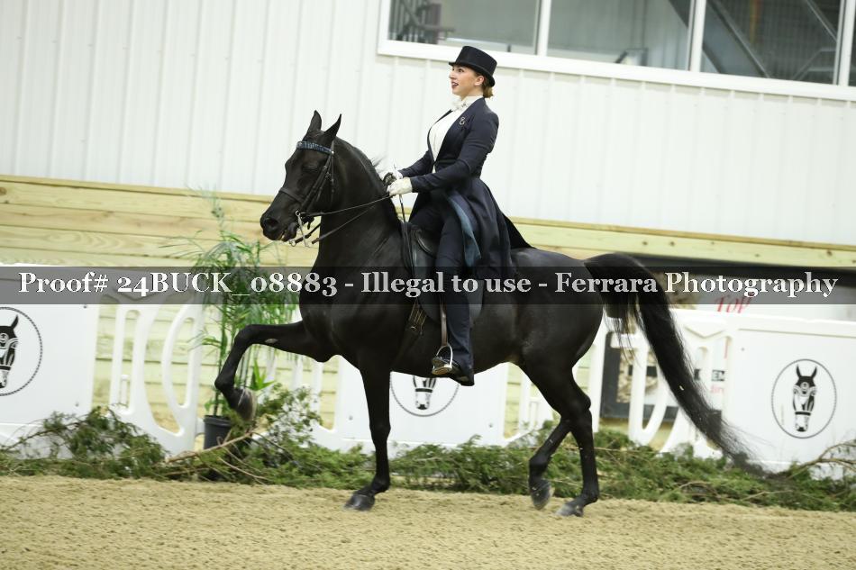 Proof 24BUCK_08883