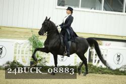 24BUCK_08883 proof