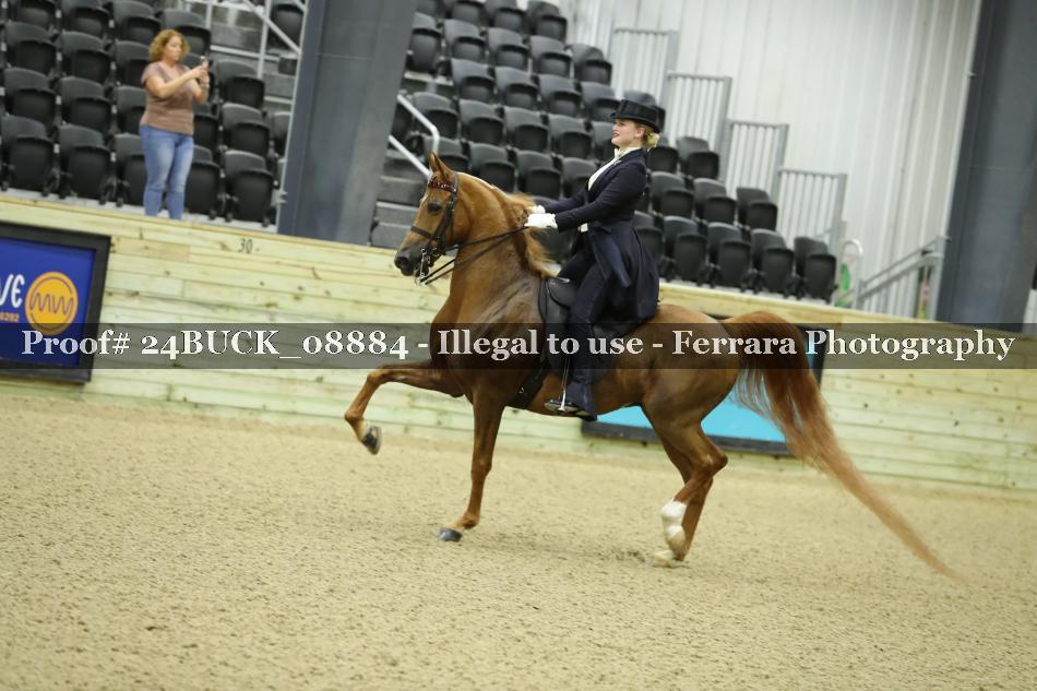 Proof 24BUCK_08884