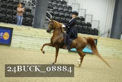 24BUCK_08884 proof