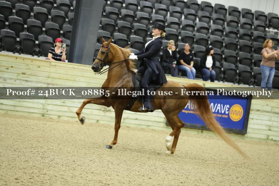 Proof 24BUCK_08885