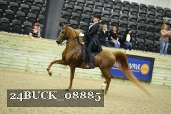 24BUCK_08885 proof