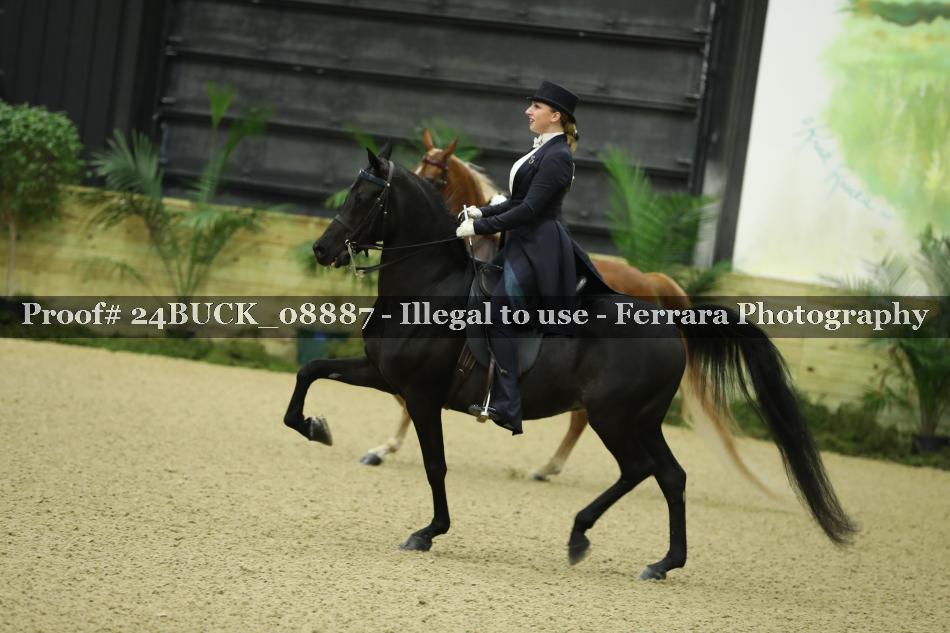 Proof 24BUCK_08887