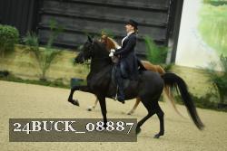 24BUCK_08887 proof