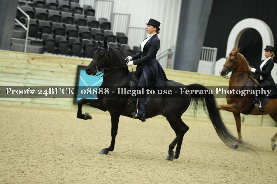 Proof 24BUCK_08888