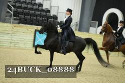 24BUCK_08888 proof