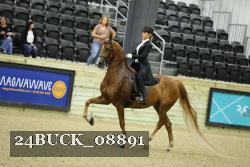 24BUCK_08891 proof
