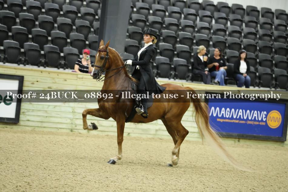 Proof 24BUCK_08892