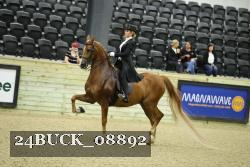 24BUCK_08892 proof