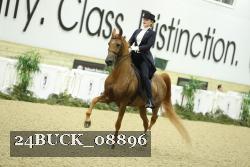 24BUCK_08896 proof