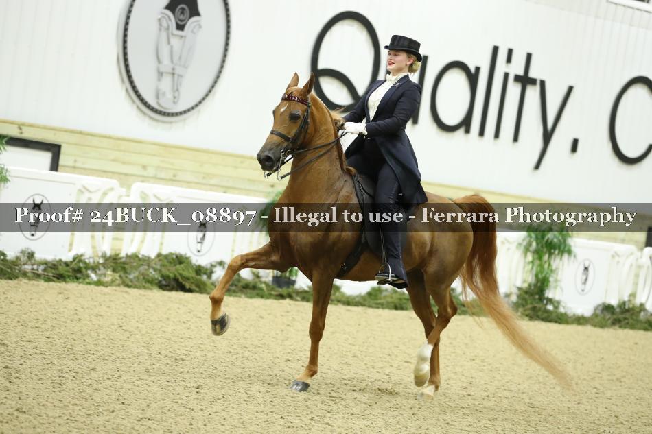 Proof 24BUCK_08897