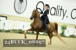 24BUCK_08897 proof