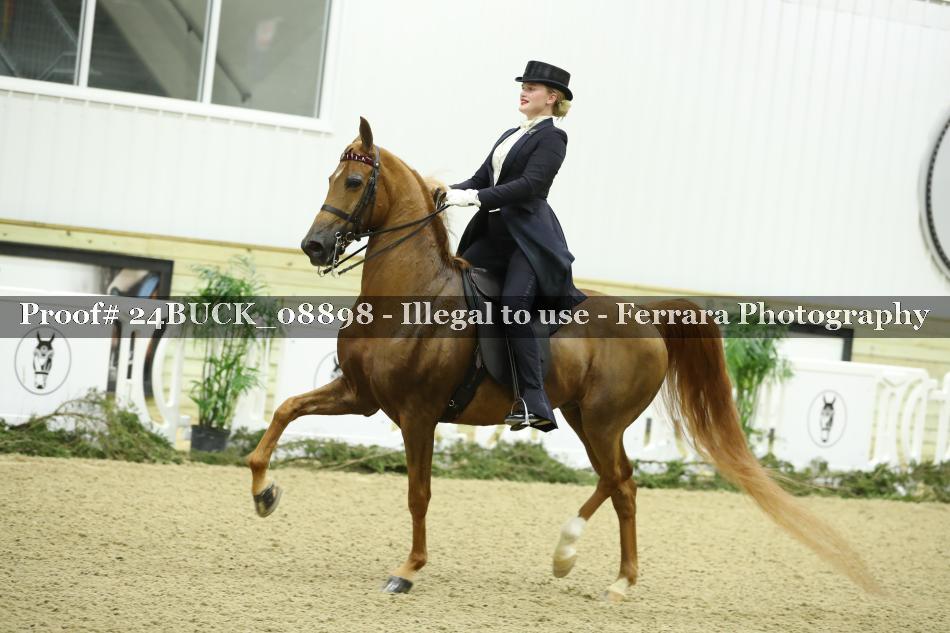 Proof 24BUCK_08898