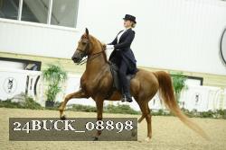 24BUCK_08898 proof