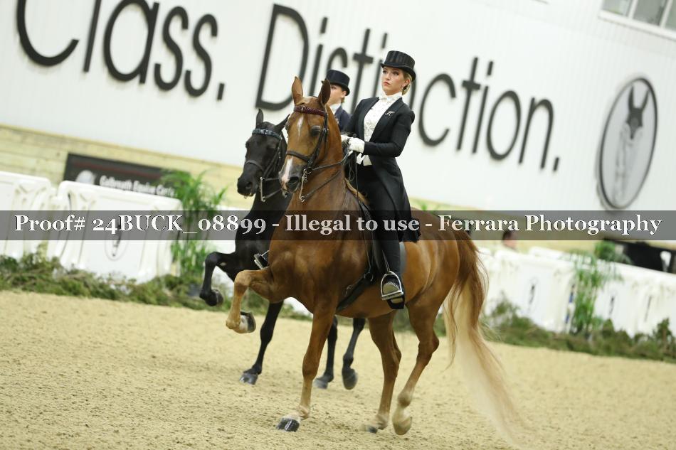 Proof 24BUCK_08899