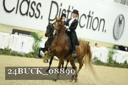 24BUCK_08899 proof