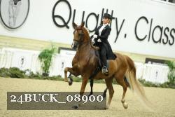 24BUCK_08900 proof