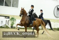 24BUCK_08901 proof