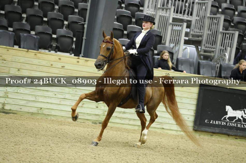 Proof 24BUCK_08903