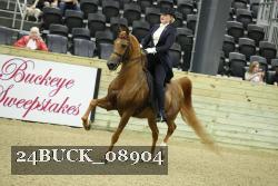 24BUCK_08904 proof