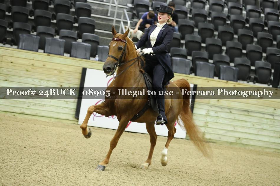 Proof 24BUCK_08905