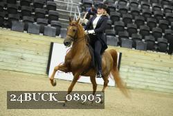 24BUCK_08905 proof