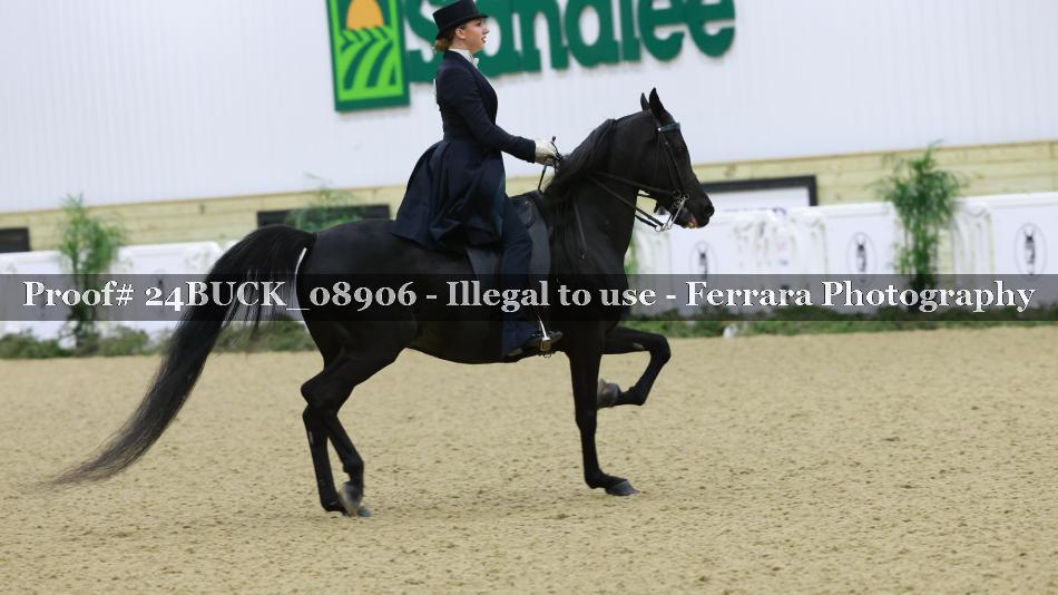 Proof 24BUCK_08906