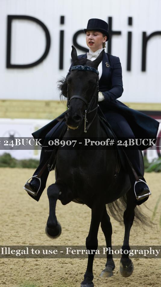 Proof 24BUCK_08907