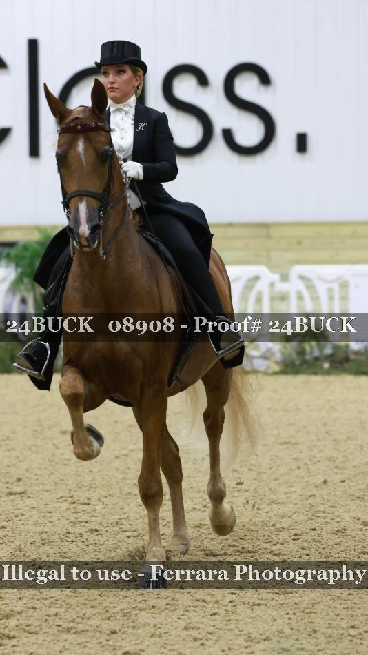 Proof 24BUCK_08908