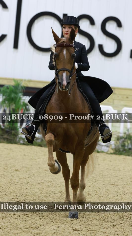 Proof 24BUCK_08909