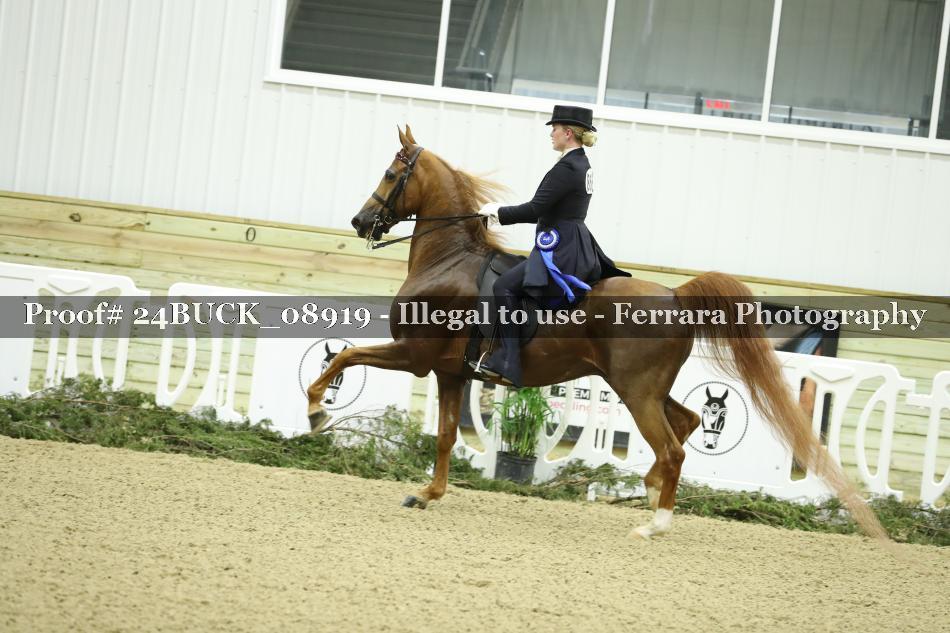 Proof 24BUCK_08919