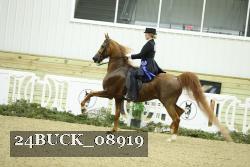 24BUCK_08919 proof
