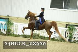 24BUCK_08920 proof