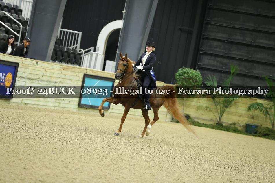 Proof 24BUCK_08923