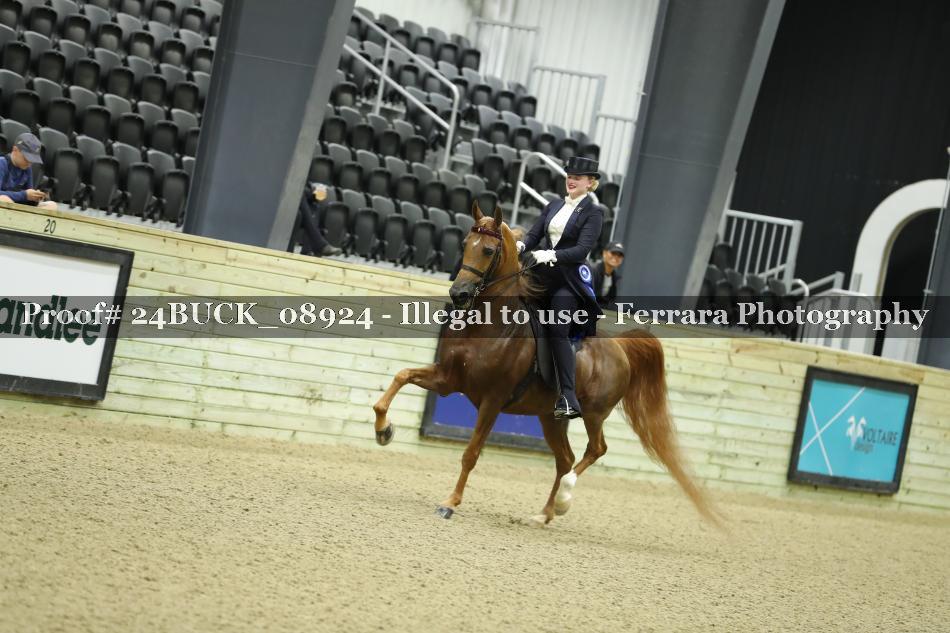 Proof 24BUCK_08924
