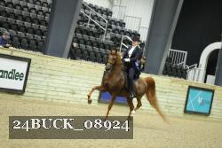 24BUCK_08924 proof