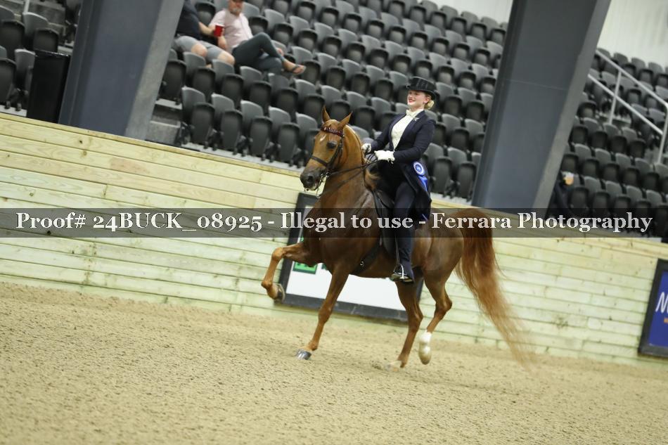 Proof 24BUCK_08925