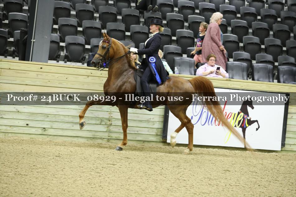 Proof 24BUCK_08929