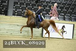 24BUCK_08929 proof