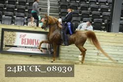 24BUCK_08930 proof
